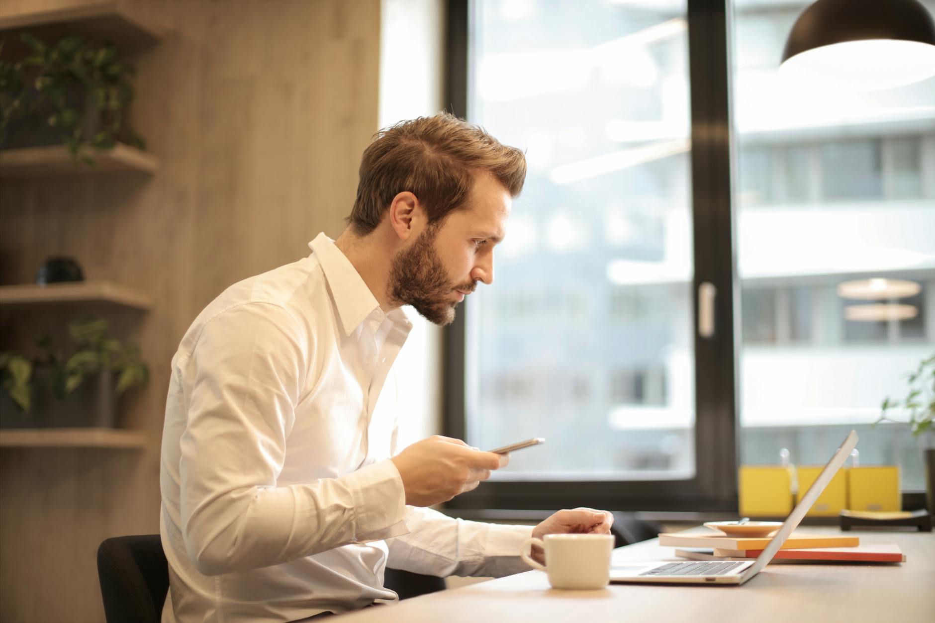 ¿Qué es la licenciatura en negocios?